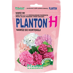 Planton H    200g PLAN