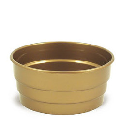 Misa Stroik 19 zlota PAW